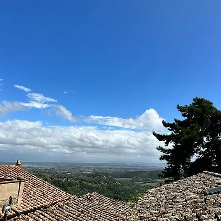 Opio Nel Corso 47